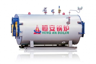 WNSϵ����ʽȼ�ͣ�����������¯